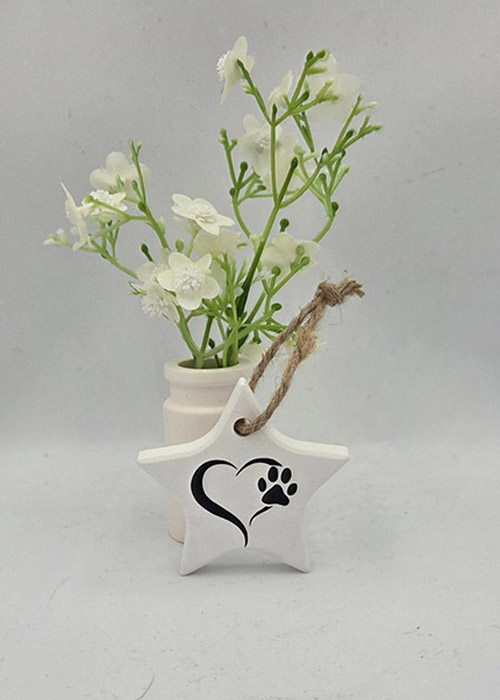 ster hanger standaard druk